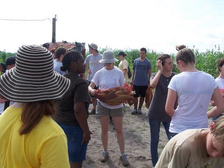 At Society of St. Andrew, participants loaded corn they harvested into trucks to be given to low-income families.