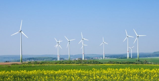 Giant fans of wind energy