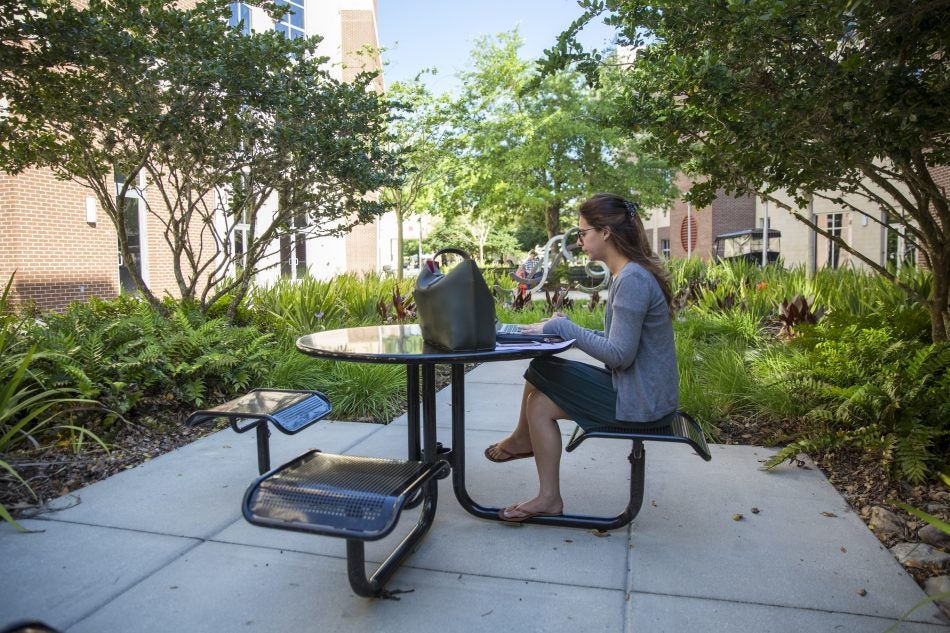 Between Health and Public Affairs buildings I and II is a courtyard filled with foliage, offering a pretty change in scenery from your dorm room. (Photo by <strong>Nick Leyva '15</strong>)