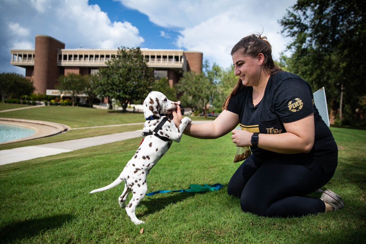 Nine-week-old Chevron performs a trick in return for a treat during a training activity with Bruno near the Reflecting Pond