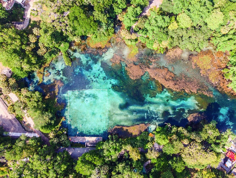 aerial view of Rainbow River