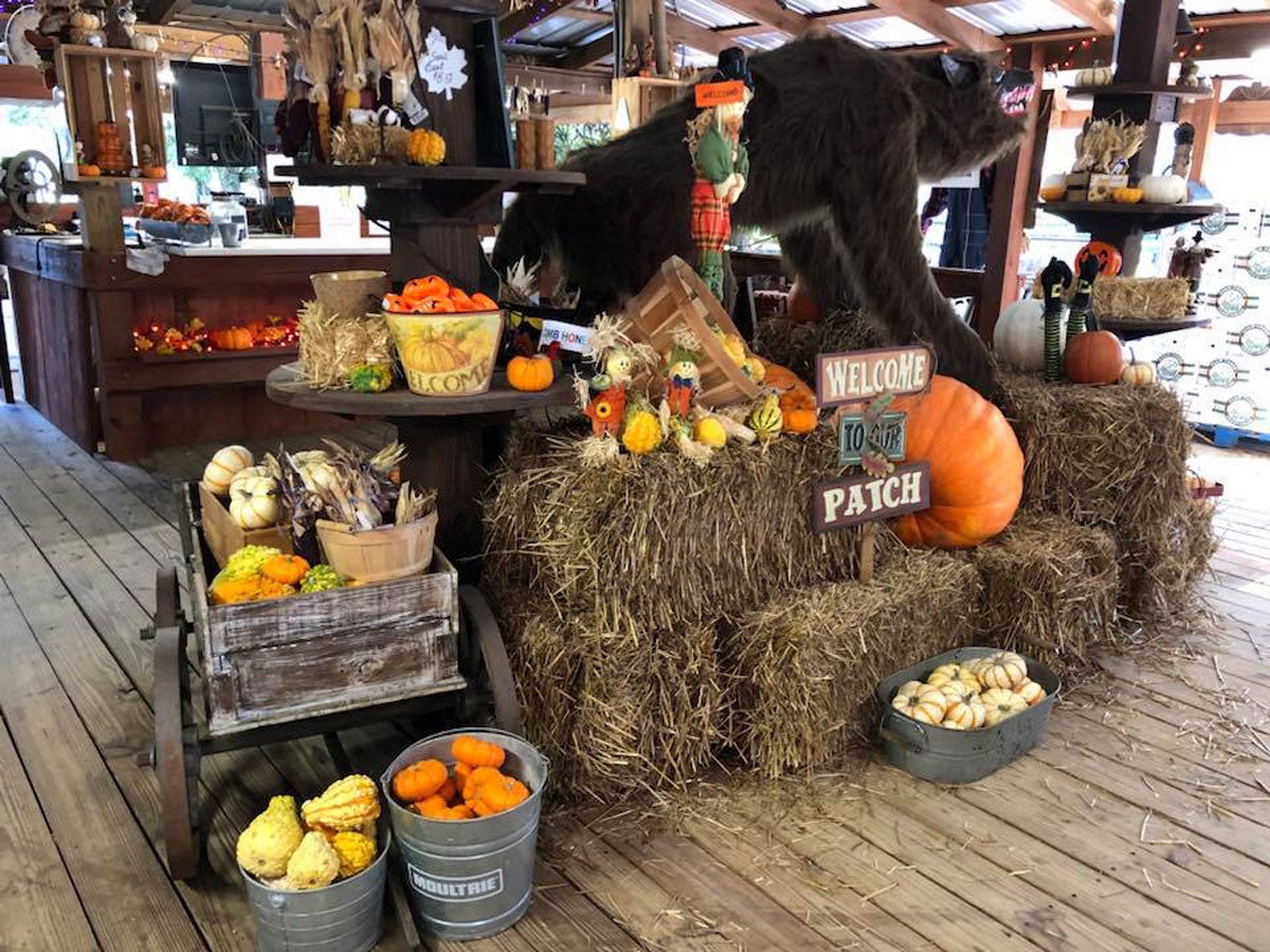 pumpkins and haystacks stacked inside a store