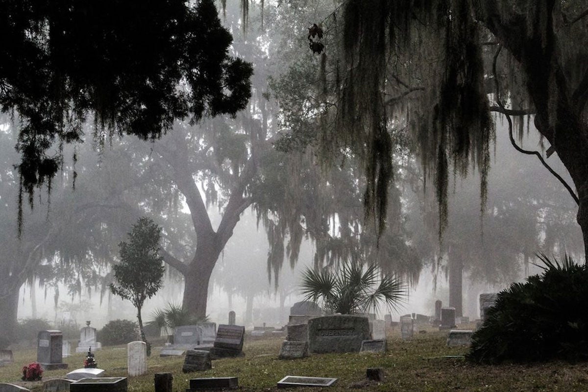 Foggy day at a cemetery with gravestones and mossy oaks