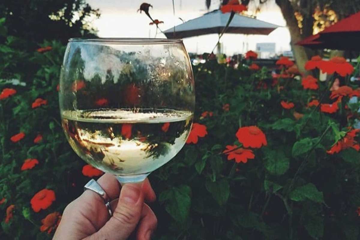 hand holds wine glass in front of rose bush