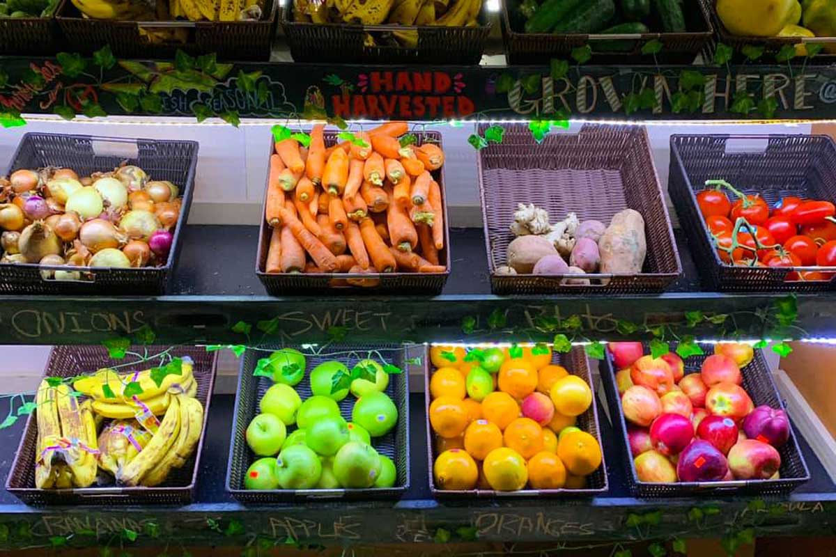 produce in bins on a shelf