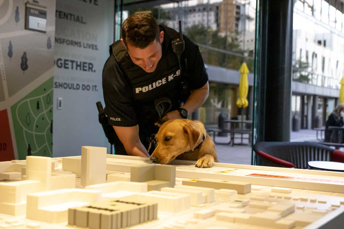 Police officer bends to look at golden lab, Blue