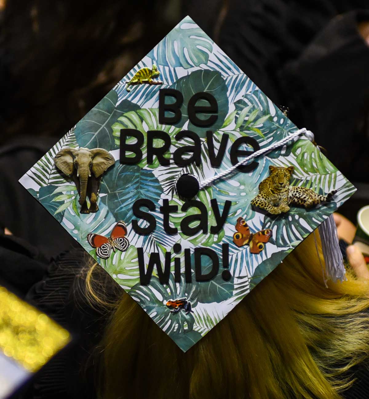 Grad cap decorated with text: Be Brave, Stay Wild with jungle theme