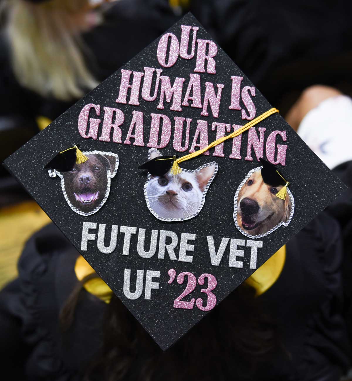 Grad cap decorated with photos of three animals and text: out human is graduating