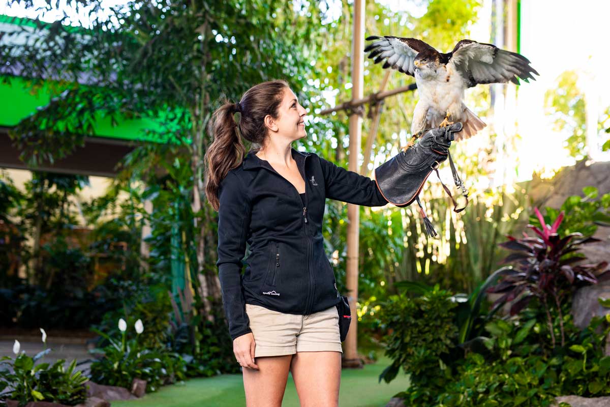 Woman extends arm with bird perched on her hand 