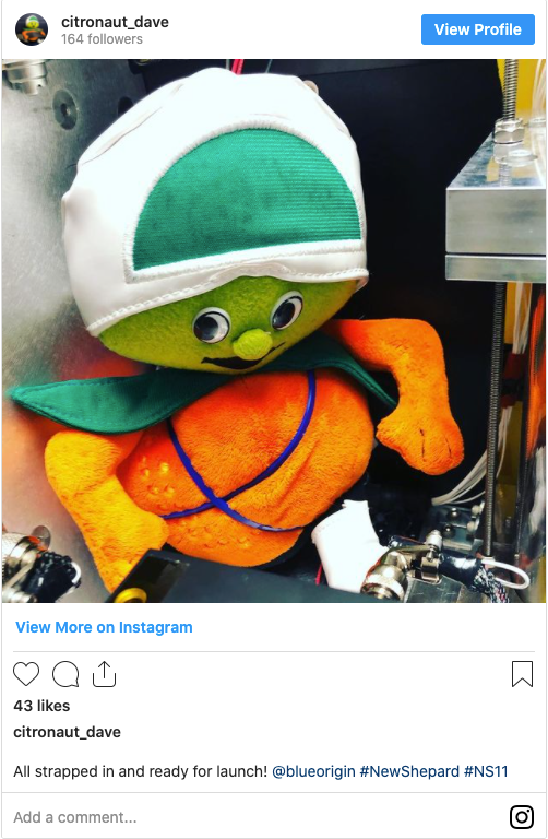 citronaut dave's instagram