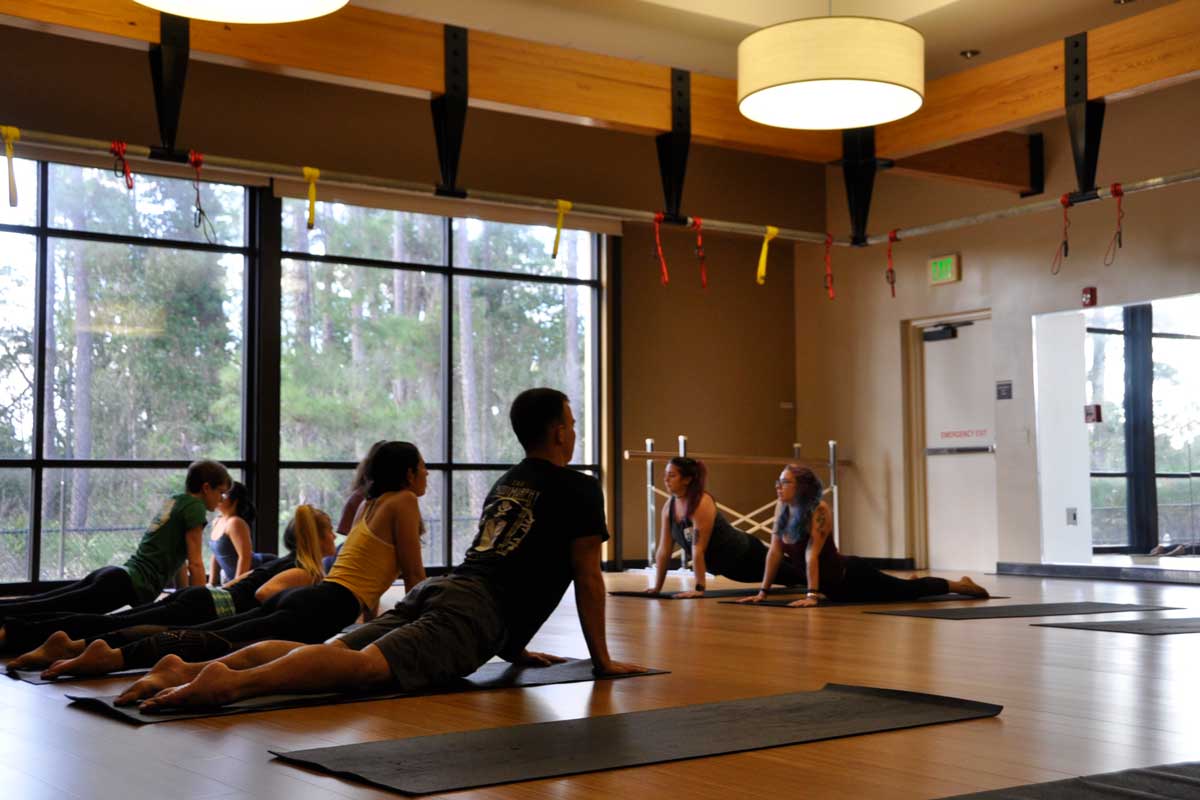 People perform up-dog pose in yoga class