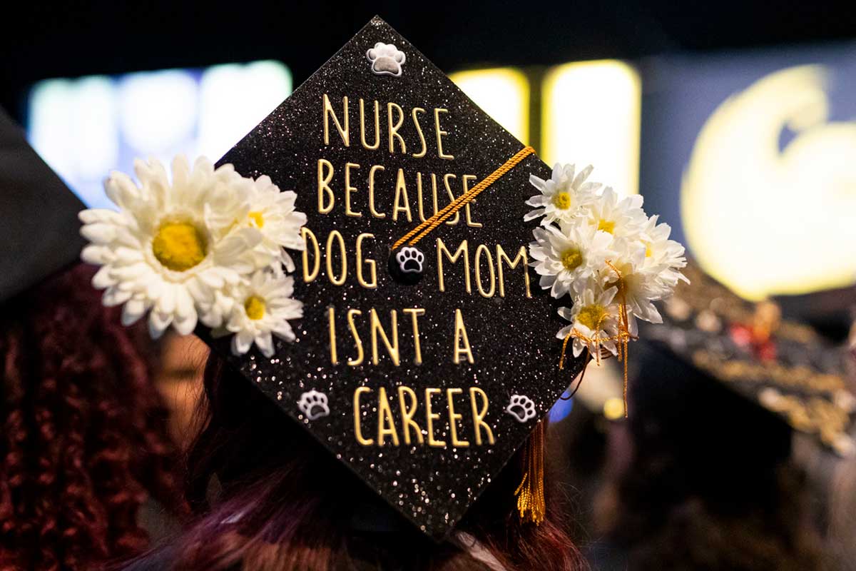 decorated grad cap: Nurse because Dog Mom Isn't a Career