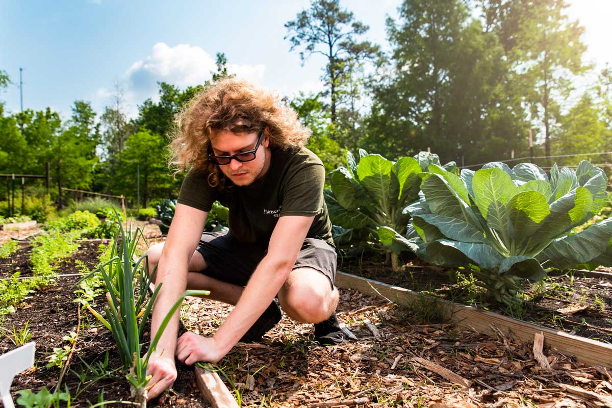 Man wearing glasses squats near planters in UCF Arboretum on sunny day