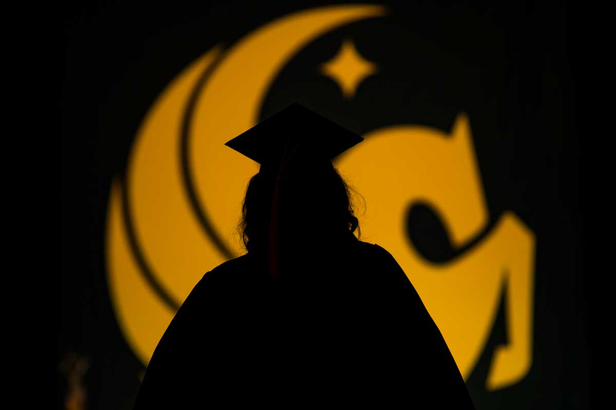 Silhouette of graduate in front of gold Pegasus seal