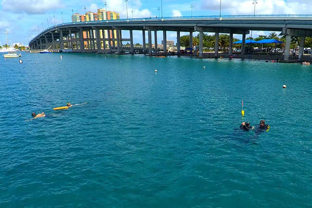 Snorkelers in water near bridge with skyline in background