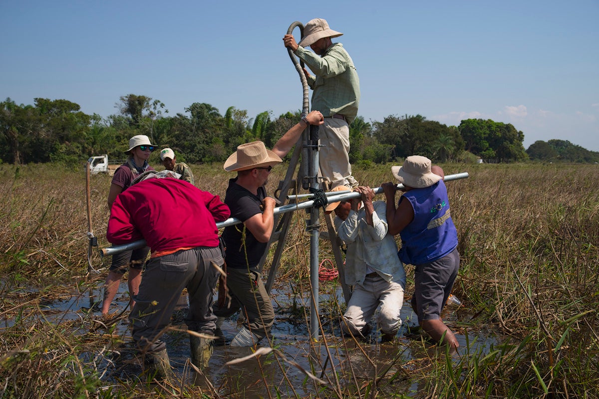 Researchers extracting a core sample from the ground