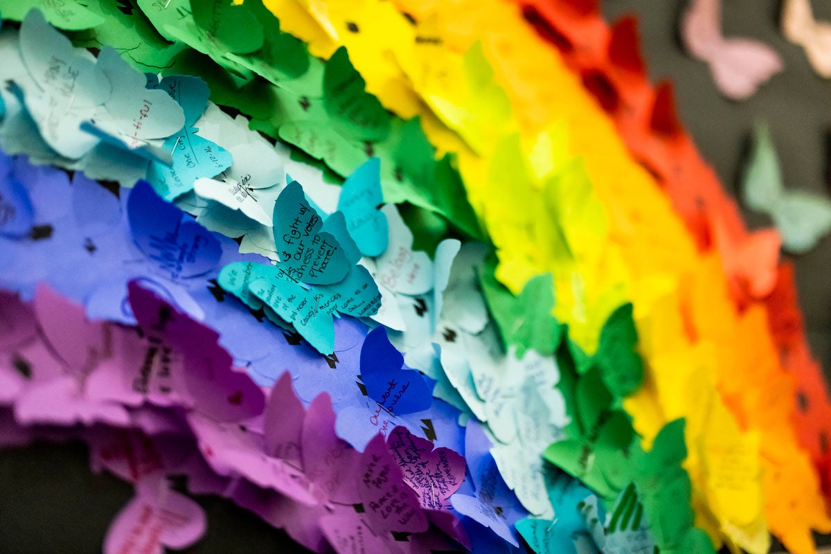 rainbow made of paper butterflies