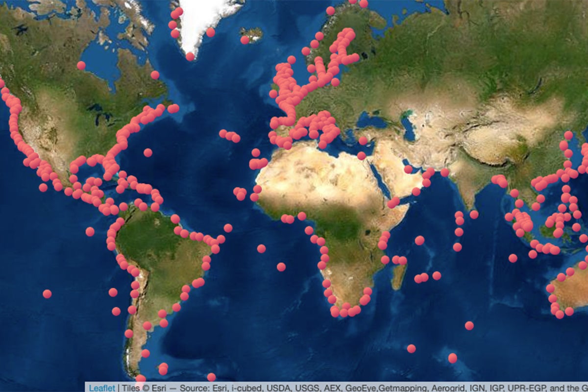 Map of Global Storm Surge Reconstructions
