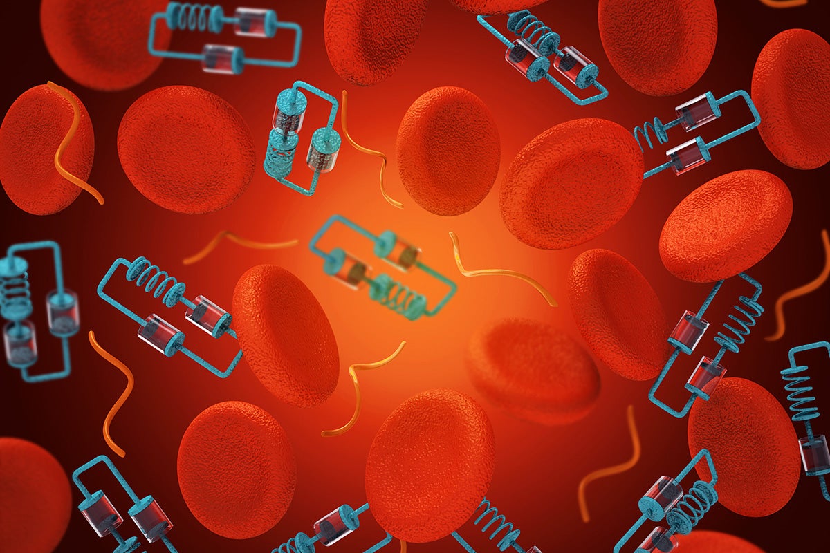 Red blood cells model