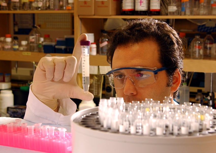 Forensic Scientist looking at a sample.