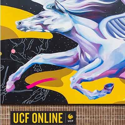 ucf online zoom background