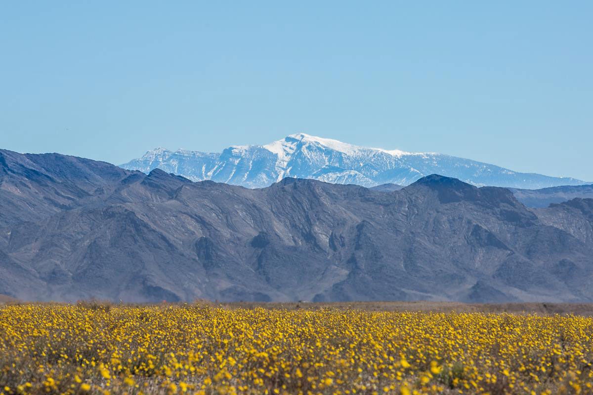 ucf-brod-trip-fricke-brothers-death-valley-california ucf-brod-trip-fricke-brothers-death-valley-california