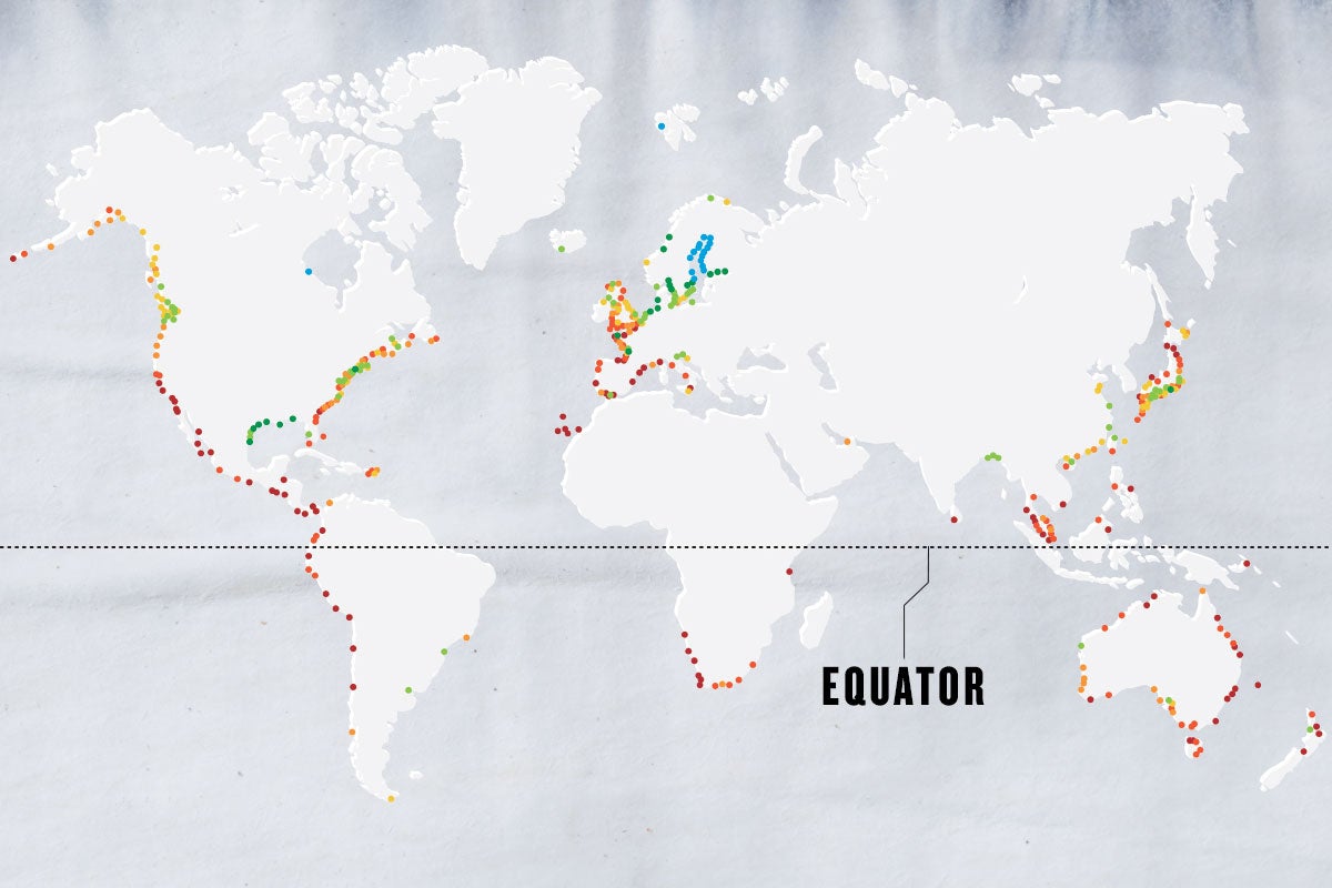 greyscale map of the world with different colored dots marking cities. The Equator is written in black text pointing to a black dotted line, which indicates the Equator greyscale map of the world with different colored dots marking cities. The Equator is written in black text pointing to a black dotted line, which indicates the Equator