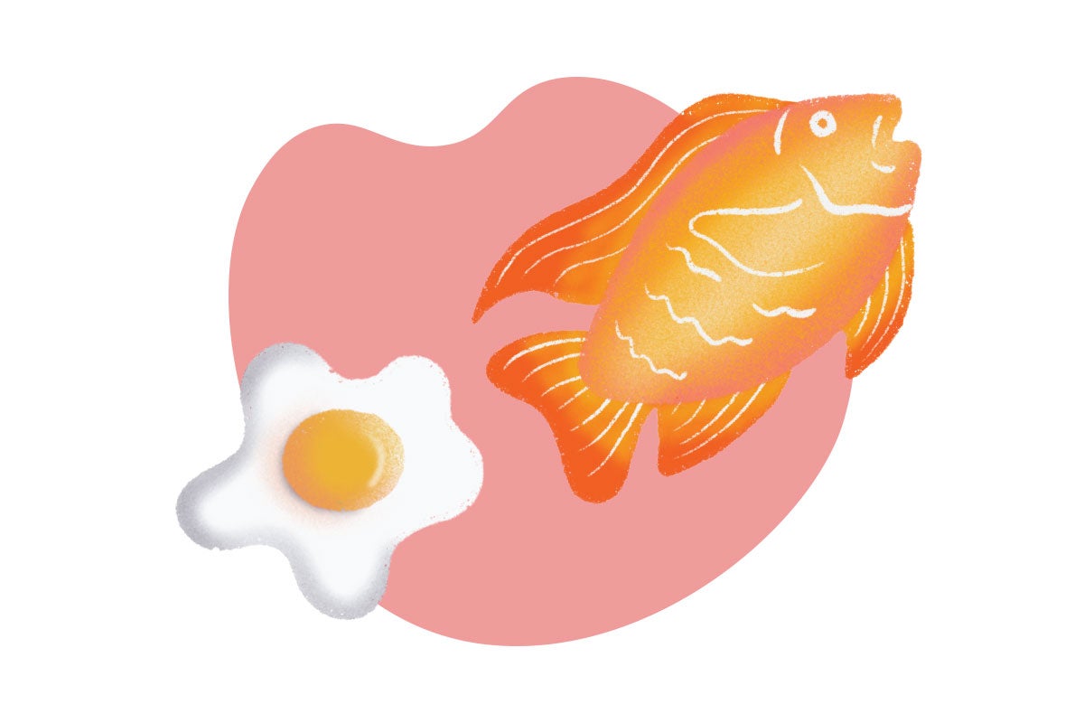 An illustration of a fish and an egg