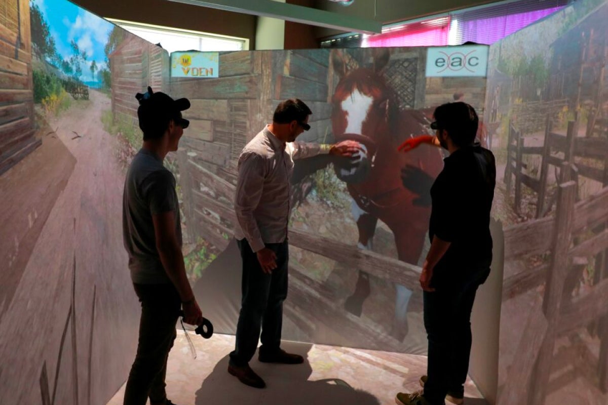 People wearing VR headsets interact with a projection of a horse
