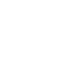 white Icon of a turtle
