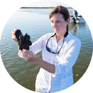 Researcher holding a cluster of shellfish in shallow coastal water.