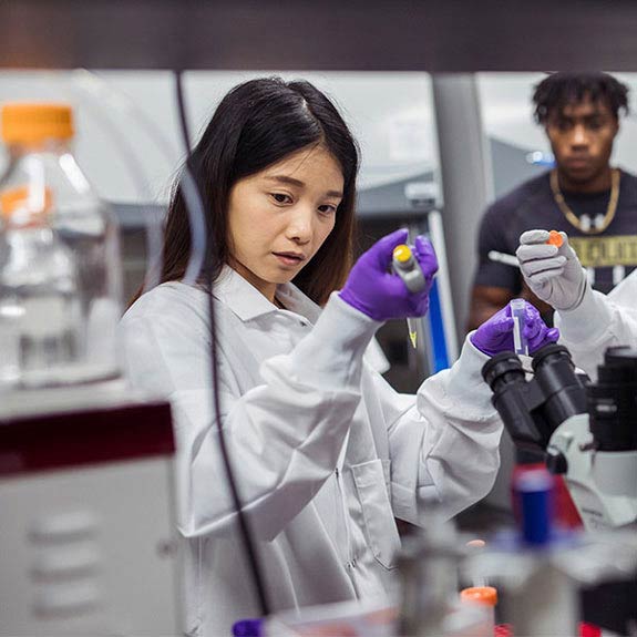 male ucf student looking at microscope in lab