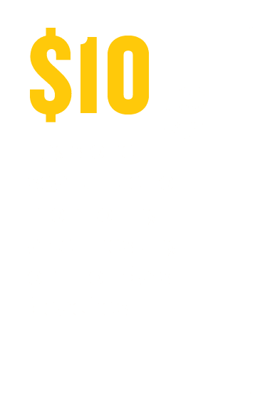$10 - Tags on sea turtle for monitoring after nesting on Florida's beaches