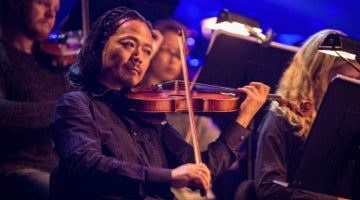 Person playing a violin at a concert