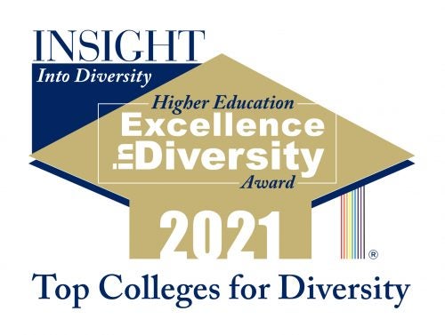 ucf insight diversity champion badge