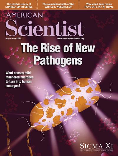 american scientist cover