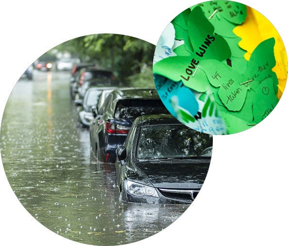 cars on a flooded street; paper butterflies at a Pulse nightclub memorial - 'love wins' written on one