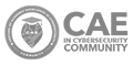 CAE Logo