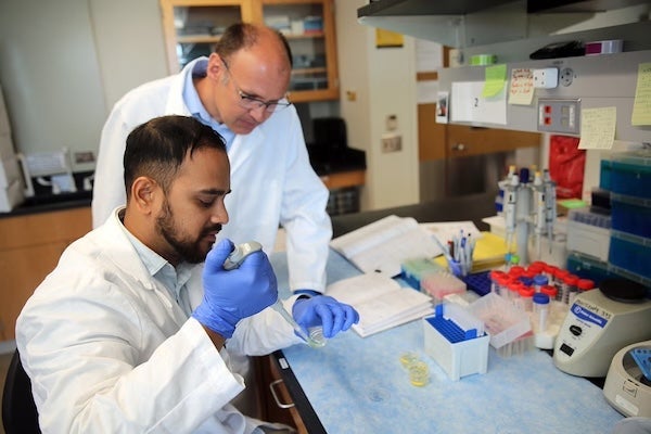 UCF Professor Michal Masternak and biomedical sciences doctoral student Md Tanjim Alam compared their research with data collected from astronaut blood samples taken during the NASA Twins Study and Inspiration4 astronauts.
