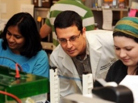 UCF Professor Alexander Cole works with students in his lab