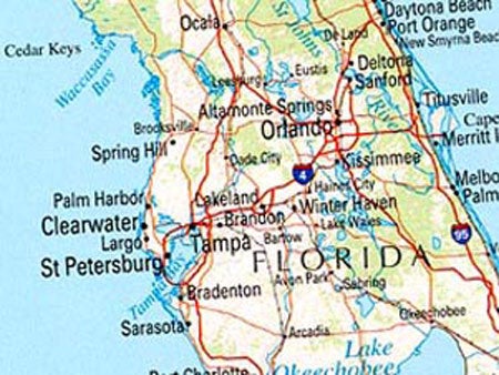 Florida's recovery will be flat, at least during its first year, Sean Snaith says.
