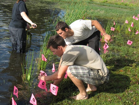 A student organization cleans a retention pond through Adopt-A-Pond Programs. (Photo: Kimberly J. Lewis)