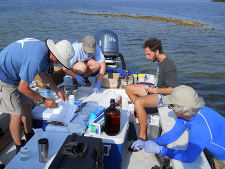 Mote Marine Laboratory is one of several charities that will benefit from Saturday's concert and festival. (Photo courtesy of Mote Marine Laboratory)