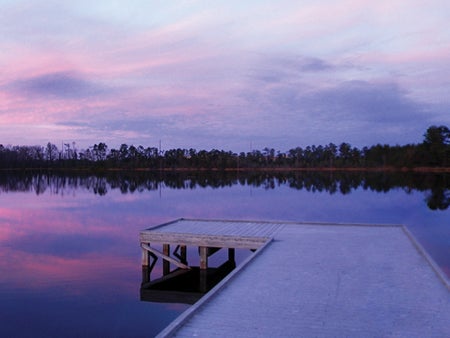 The beauty of Lake Claire