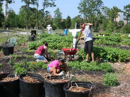 Students cultivate the Arboretum’s ground and plant vegetables and flowers.