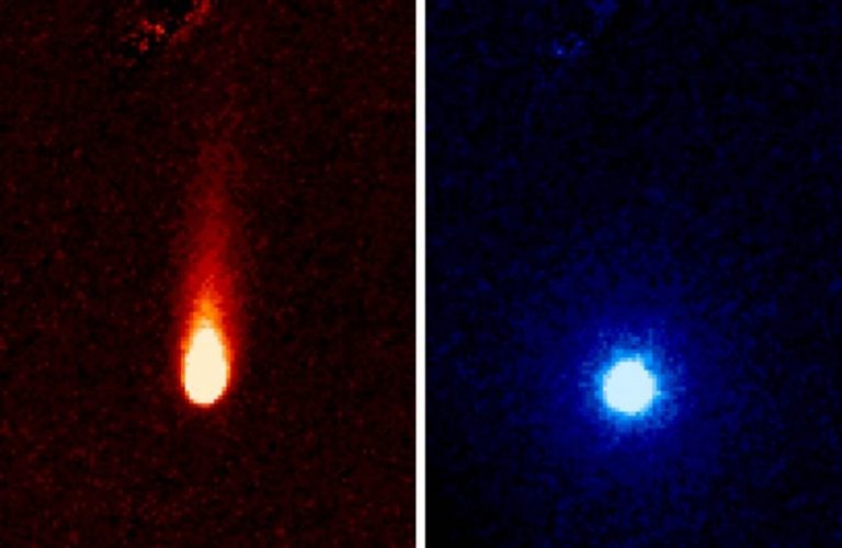 These images from NASA's Spitzer Space Telescope of C/2012 S1 (Comet ISON) were taken on June 13, when ISON was 310 million miles (about 500 million kilometers) from the sun. The images were taken with the telescope's infrared array camera at two different near-infrared wavelengths, 3.6 and 4.5 microns (the representational colors shown were selected to enhance visibility). The 3.6-micron image on the left shows a tail of fine rocky dust issuing from the comet and blown back by the pressure of sunlight as the comet speeds towards the sun (the tail points away from the sun). The image on the right side shows the 4.5-micron image with the 3.6-micron image information (dust) removed, and reveals a very different round structure -- the first detection of a neutral gas atmosphere surrounding ISON. In this case, it is most likely created by carbon dioxide that is “fizzing” from the surface of the comet at a rate of about 2.2 million pounds (1 million kilograms) a day. Comet ISON (officially known as C/2012 S1) is, like all comets, a dirty snowball made up of dust and frozen gases like water, ammonia, methane and carbon dioxide -- some of the fundamental building blocks that scientists believe led to the formation of the planets 4.5 billion years ago. ISON will pass within 724,000 miles (1.2 million kilometers) of the sun on Nov. 28, making it a sungrazer comet that will evaporate its ices and even its rocky dust near perihelion, revealing even more of the comet’s composition. NASA is bringing to bear a vast fleet of spacecraft, instruments, and space- and Earth-based telescopes to study this rarely-seen type of comet over the next year. ISON stands for International Scientific Optical Network, a group of observatories in ten countries who have organized to detect, monitor, and track objects in space. ISON is managed by the Keldysh Institute of Applied Mathematics, part of the Russian Academy of Sciences. The complete list of observers is: C.M. Lisse, R.J. Vervack, and H.A. Weaver, Johns Hopkins University Applied Physics Laboratory; J.M. Bauer, Jet Propulsion Laboratory/Caltech; Y.R. Fernandez, University of Central Florida; M.S.P. Kelley, University of Maryland; M.M. Knight, Lowell Observatory; D. Hines, Space Telescope Science Institute; J-Y Li, Planetary Science Institute; W. Reach, USRA/SOFIA; M. L. Sitko, University of Cincinnati; P. A. Yanamandra-Fisher, SSI; K.J. Meech and J. Rayner, University of Hawaii.