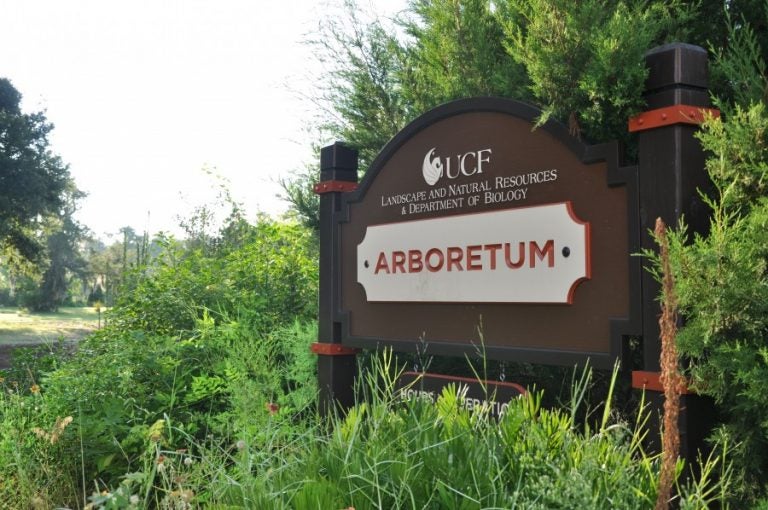 UCF's 82-acre Arboretum includes more than three miles of hiking trails and a community garden.