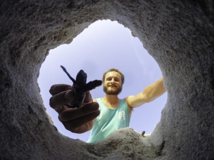 ucf student helping sea turtle out of sand hole