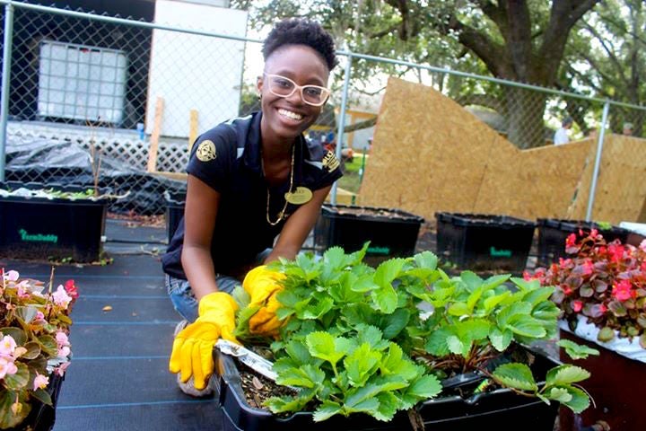 Former Volunteer UCF Alternative Break Program Coordinator Vanessa Palmer volunteered to help maintain the vegetable garden in Bithlo's Transformation Village.
