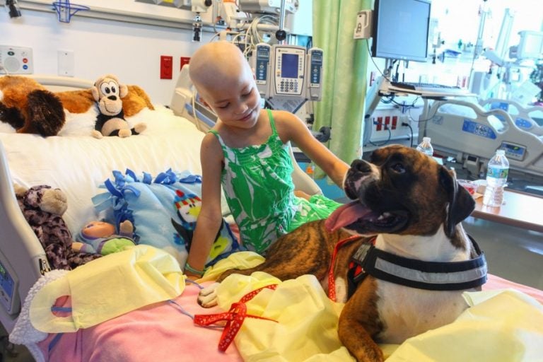 At Nemours Children's Hospital, Palmer Vorkapich lights up during a visit from Ion, a therapy dog owned by College of Medicine student Christa Zino.
